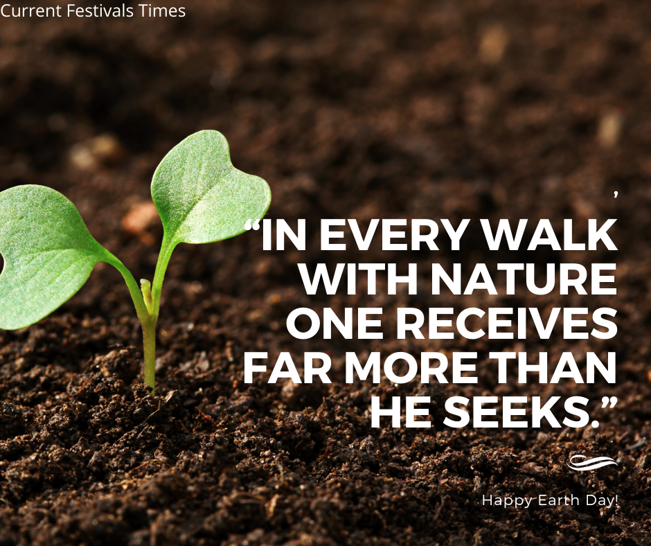 Top 31 Earth Day Quotes to Fall in Love with Nature Current Festivals Times