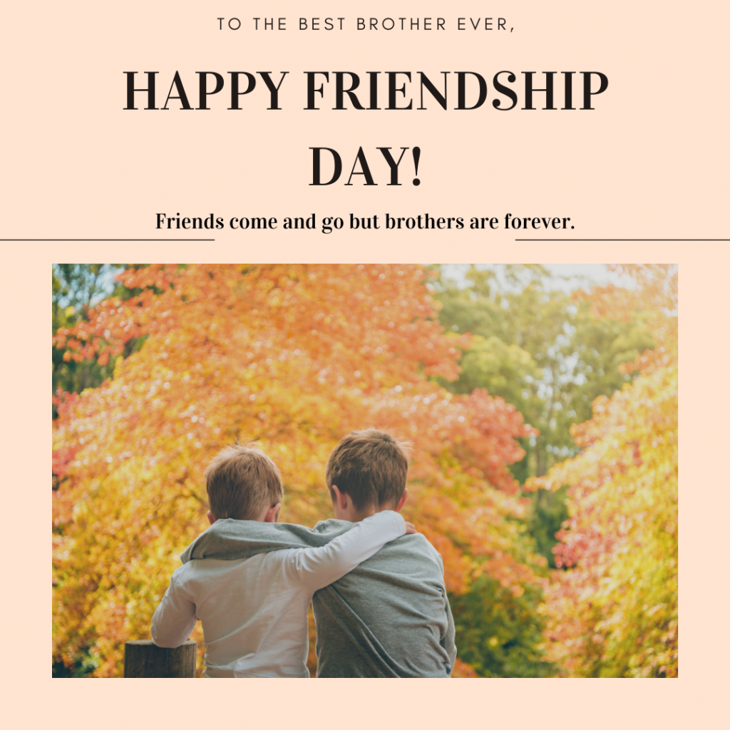 Friendship day quotes for brother