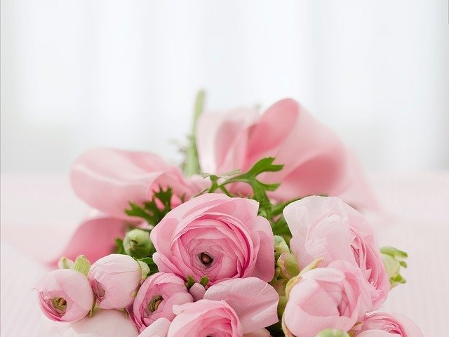 bouquet of pink roses